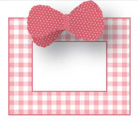 Gingham Bow Frame - Pink - Image 4
